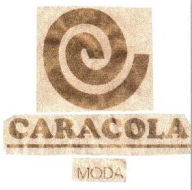 Imagen de CARACOLA MODA