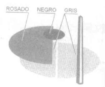 Imagen de M2131834
