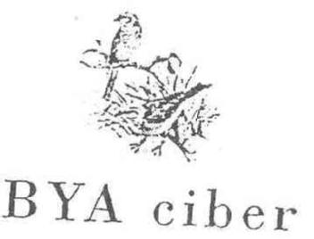 Imagen de BYA CIBER
