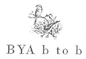 Imagen de BYA B TO B