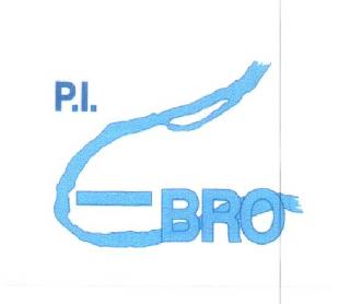 Imagen de P.I. EBRO