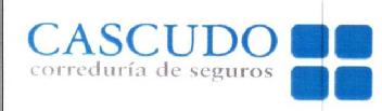 Imagen de CASCUDO CORREDURIA DE SEGUROS