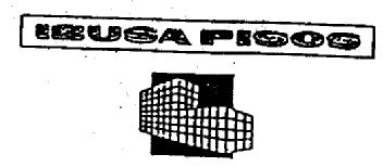 Imagen de IBUSA PISOS