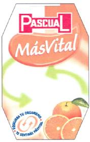 Imagen de PASCUAL MASVITAL