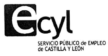 Imagen de ECYL SERVICIO PUBLICO DE EMPLEO DE CASTILLA Y LEON