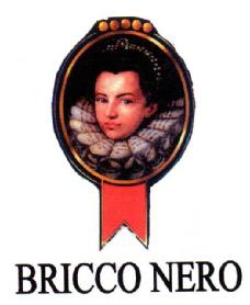 Imagen de BRICCO NERO