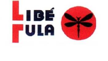 Imagen de LIBELULA