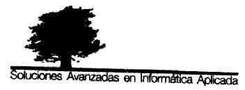 Imagen de SOLUCIONES AVANZADAS EN INFORMATICA APLICADA,S.L