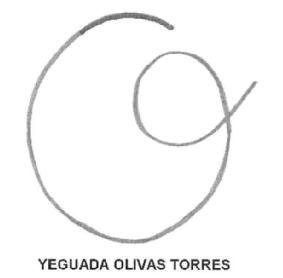 Imagen de YEGUADA OLIVAS TORRES