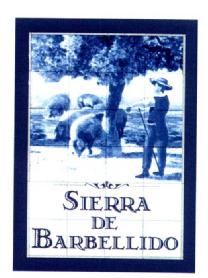 Imagen de SIERRA DE BARBELLIDO