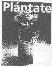 Imagen de PLANTATE