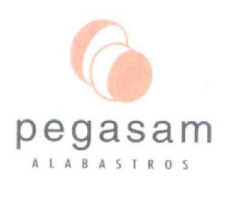 Imagen de PEGASAM ALABASTROS