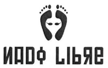 Imagen de NADO LIBRE