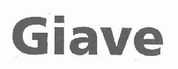 Imagen de GIAVE