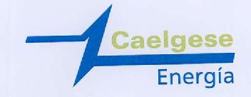 Imagen de CAELGESE ENERGIA UNA COMPAÑIA DE ELECTRABEL