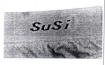 Imagen de SUSI