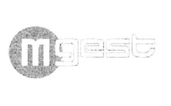 Imagen de MGEST