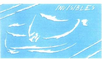 Imagen de INVISIBLES
