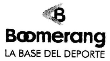Imagen de B BOOMERANG LA BASE DEL DEPORTE