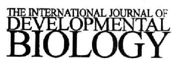 Imagen de THE INTERNATIONAL JOURNAL OF DEVELOPMENTAL BIOLOGY