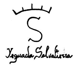 Imagen de S YEGUADA SALVATIERRA