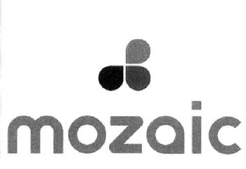 Imagen de MOZAIC