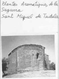 Imagen de PLANTES AROMATIQUES DE LA SEGARRA SANT MIQUEL DE TUDELA