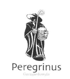 Imagen de PEREGRINUS GARAGARDUTEGIA