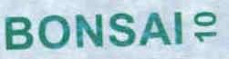 Imagen de BONSAI 10