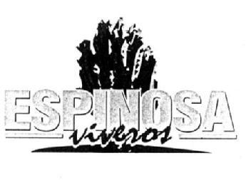 Imagen de ESPINOSA VIVEROS