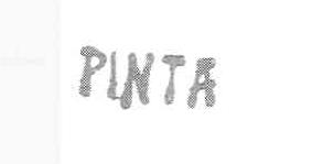 Imagen de PINTA