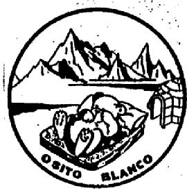 Imagen de OSITO BLANCO