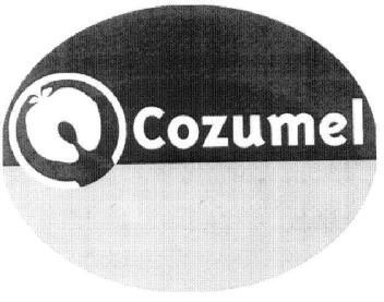Imagen de COZUMEL