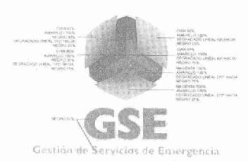 Imagen de GSE GESTION DE SERVICIOS DE EMERGENCIA