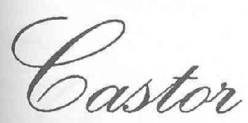 Imagen de CASTOR