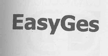 Imagen de EASYGES