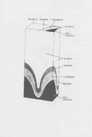 Imagen de M2258588