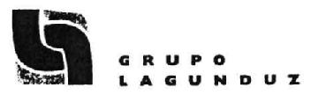 Imagen de GRUPO LAGUNDUZ