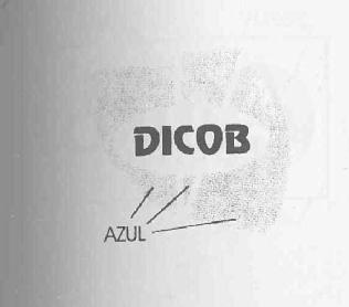 Imagen de DICOB