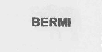 Imagen de BERMI