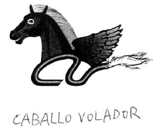Imagen de CABALLO VOLADOR