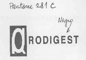 Imagen de RODIGEST
