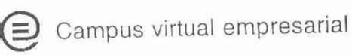 Imagen de E CAMPUS VIRTUAL EMPRESARIAL