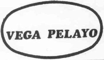 Imagen de VEGA PELAYO