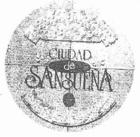 Imagen de CIUDAD DE SANSUEÑA