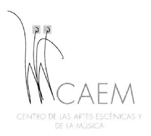 Imagen de CAEM CENTRO DE LAS ARTES ESCENICAS Y DE LA MUSICA