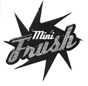 Imagen de MINI FRUSH
