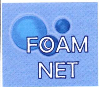 Imagen de FOAM NET