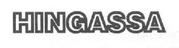 Imagen de HINGASSA