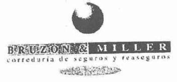 Imagen de BRUZON & MILLER CORREDURIA DE SEGUROS Y REASEGUROS
